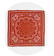 Bow19 Paisley Scarf - Cognac
