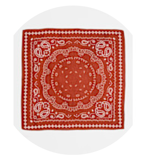 Bow19 Paisley Scarf - Cognac