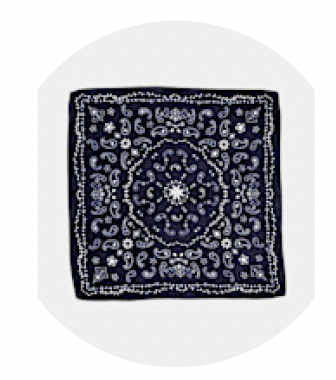 Bow19 Paisley Scarf - Dark Blue